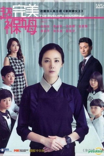 奇怪的家政妇海报