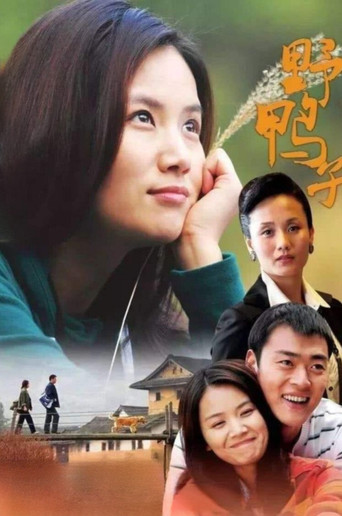 野鸭子海报