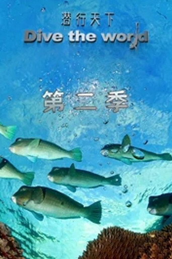 潜行天下 第 2 季海报