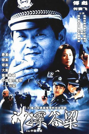 神探谷梁海报