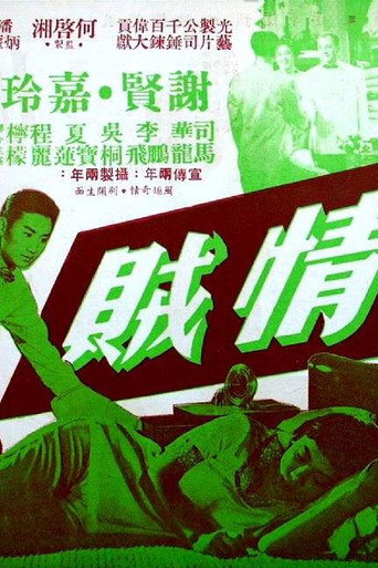 情贼海报