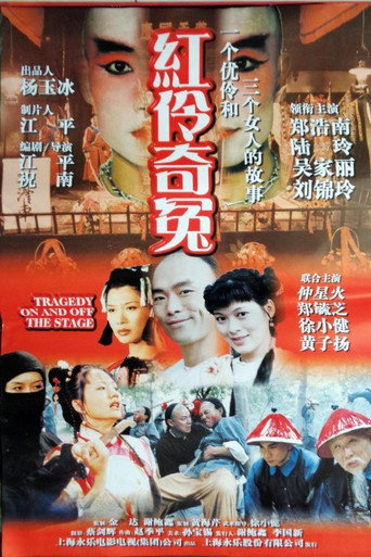 杨月楼传海报