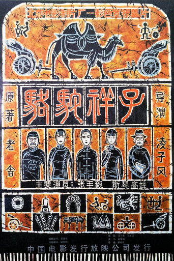 骆驼祥子海报