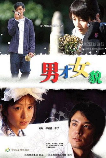 男才女貌海报