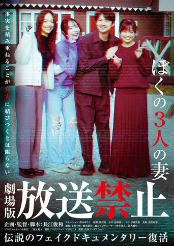 放送禁止 我的三位妻子海报