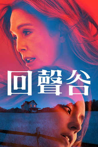 回声谷海报