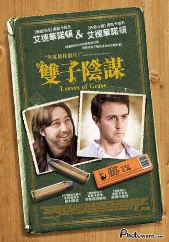 草叶海报