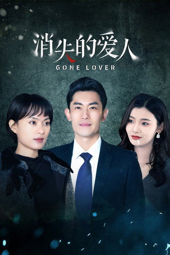 消失的爱人海报
