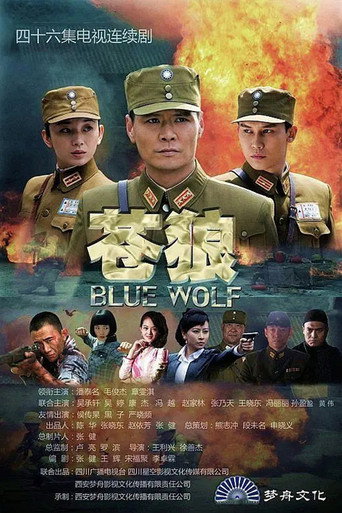苍狼海报