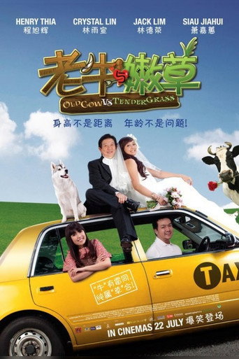 老牛与嫩草海报