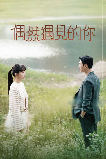 偶然遇见的你海报