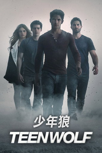 少狼海报