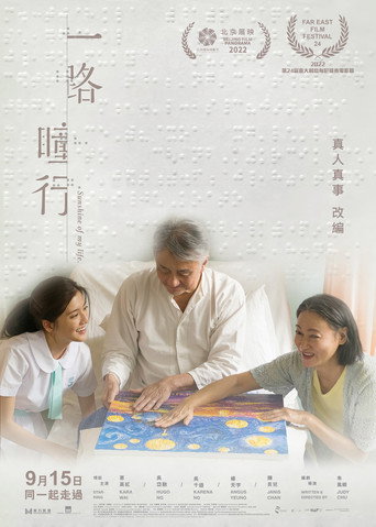 我的非凡父母海报
