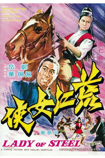 荒江女侠海报
