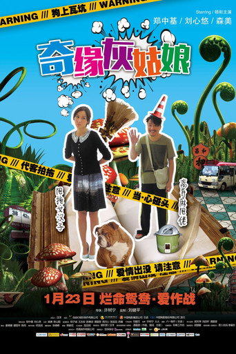 奇缘灰姑娘海报