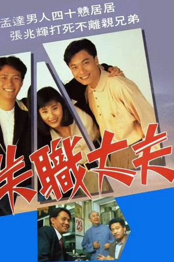 失职丈夫海报