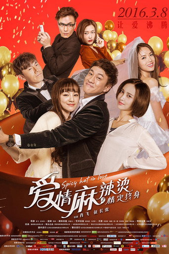 爱情麻辣烫之情定终身海报