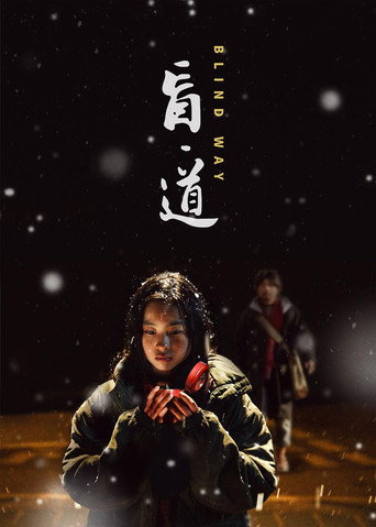 盲·道海报