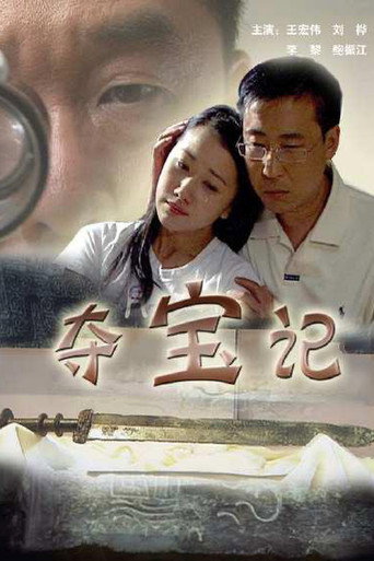 夺宝记海报
