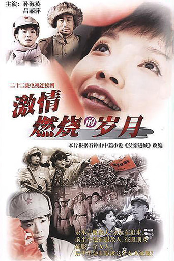 激情燃烧的岁月海报