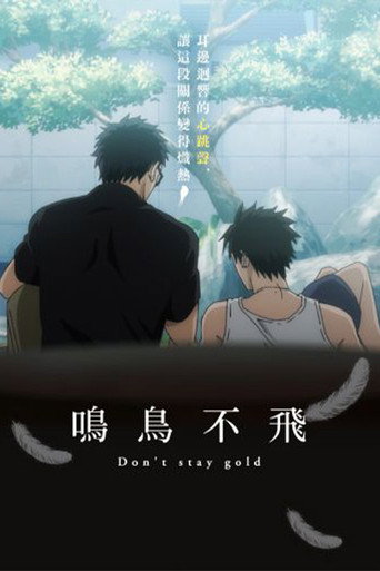 鸣鸟不飞：Don't stay gold海报