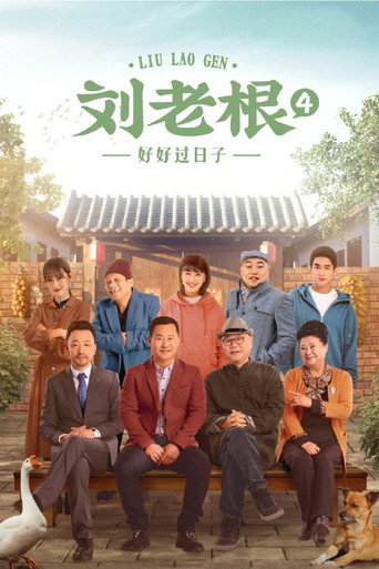 刘老根 第 4 季海报