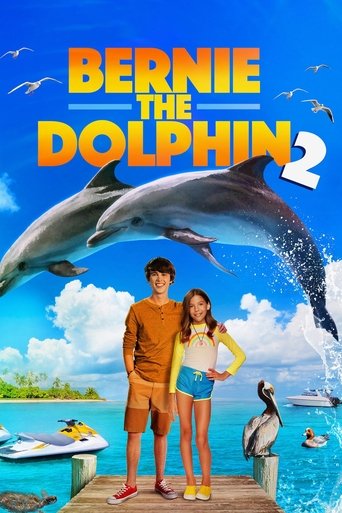 海豚伯尼2海报