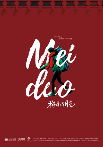 梅朵与月光海报