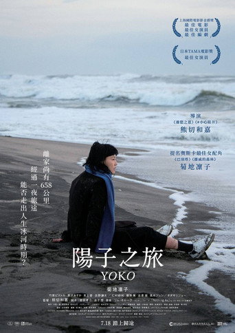 658公里，阳子的旅途海报