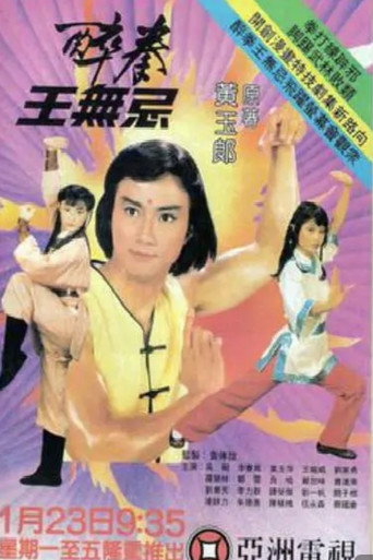 醉拳王无忌海报