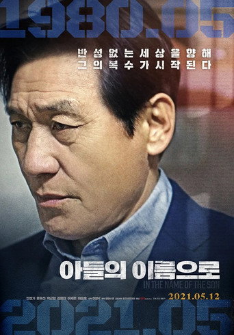 以我儿子的名义海报