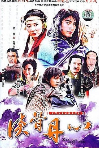 侠骨丹心海报