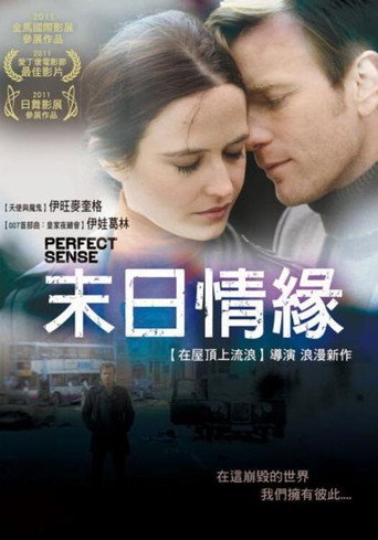 完美感觉海报