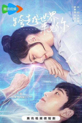 跨越世界来见你海报
