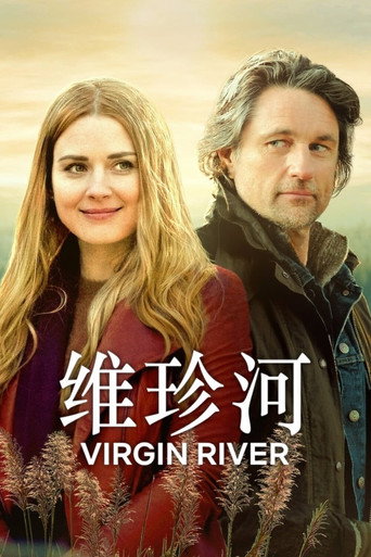 维琴河海报