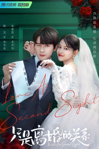 只是离婚的关系海报