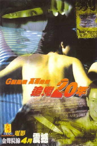 追凶20年海报