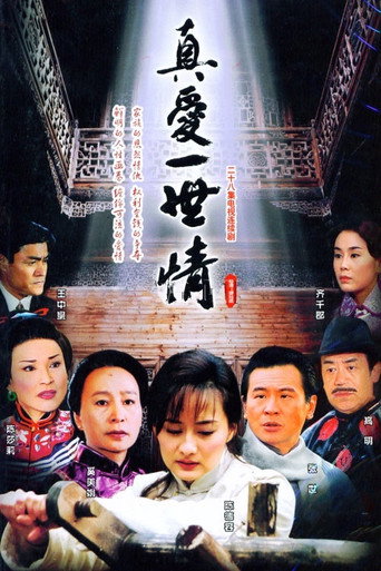 真爱一世情海报