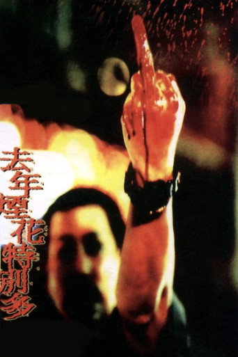 去年烟花特别多海报