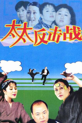 太太反击战海报