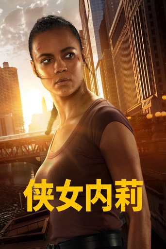 侠女内莉海报