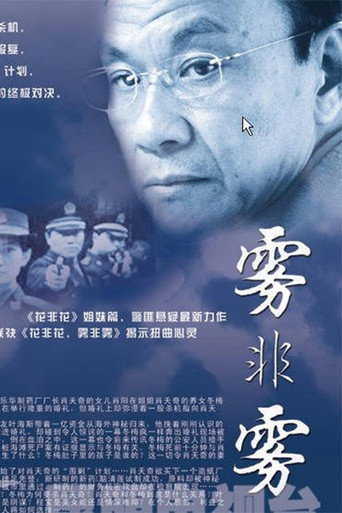 雾非雾海报