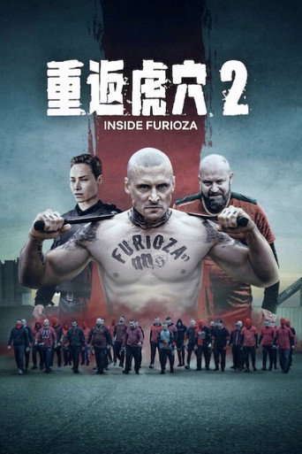 重返虎穴2海报