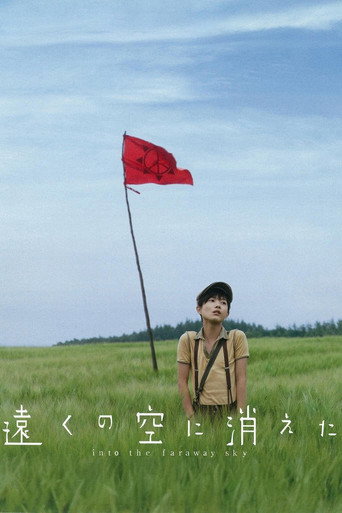 消失在远空中海报