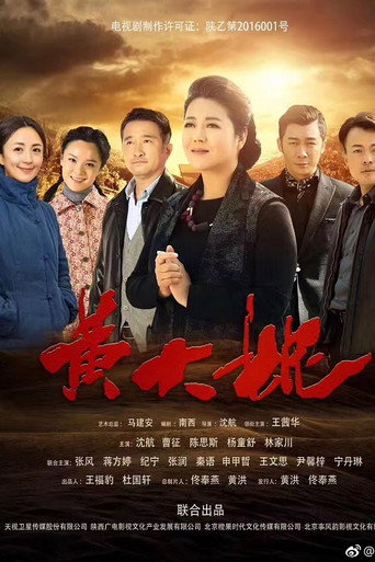 黄大妮海报