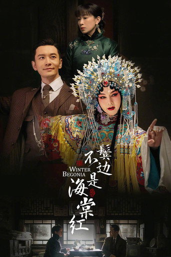 鬓边不是海棠红海报