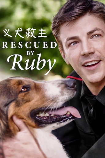 义犬救主海报