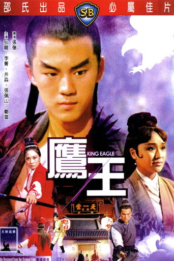 鹰王海报