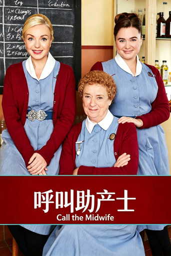 呼叫助产士海报
