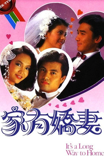 家有娇妻海报